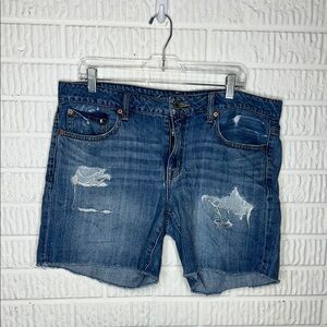 American Eagle Outfitters Blue Jean Shorts